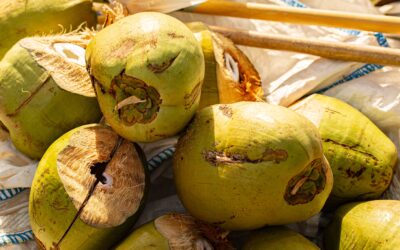 Caribbean Tourism Organisation Farm-to-Table Webinar