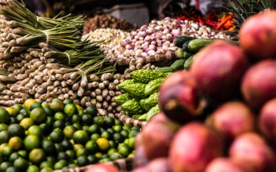 Building Resilient Food Systems in Africa