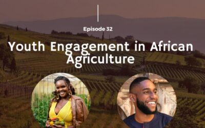Youth Engagement in African Agriculture