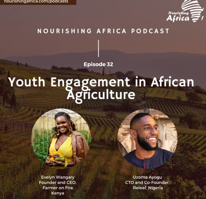 Youth Engagement in African Agriculture