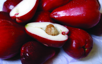 Wild About Fruit