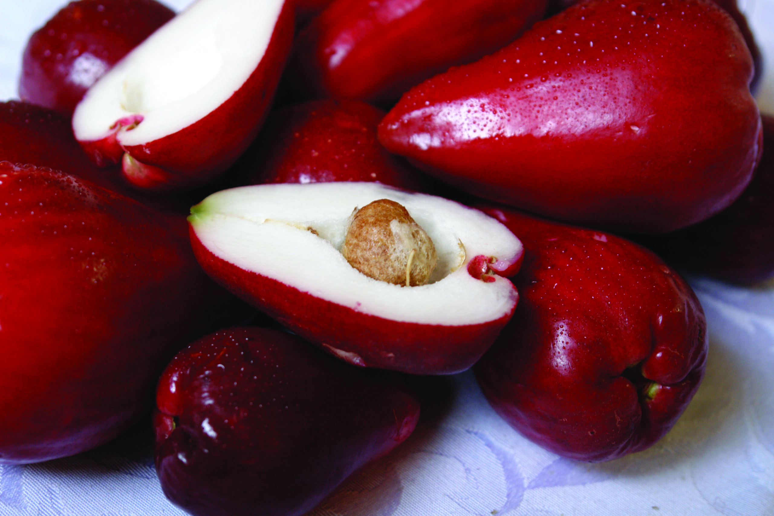 Wild About Fruit