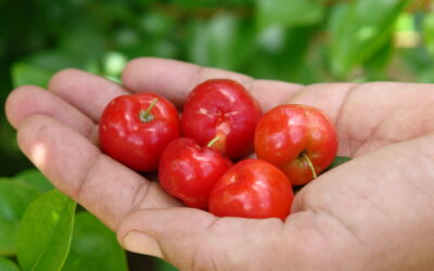 A Trini Helps Barbados with Food